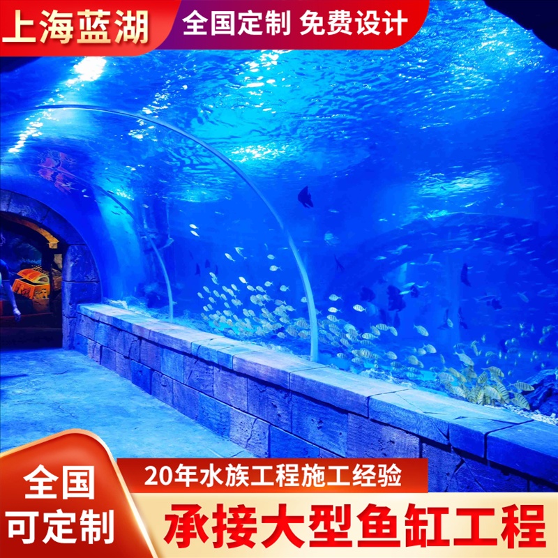 藍湖海洋館方案設(shè)計建造公司水族館景觀工程亞克力海底隧道定制