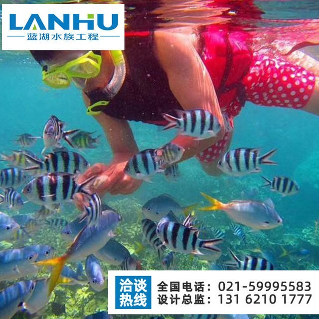 lanhu海洋館工程大型水族工程海洋水族館維生系統(tǒng)安裝