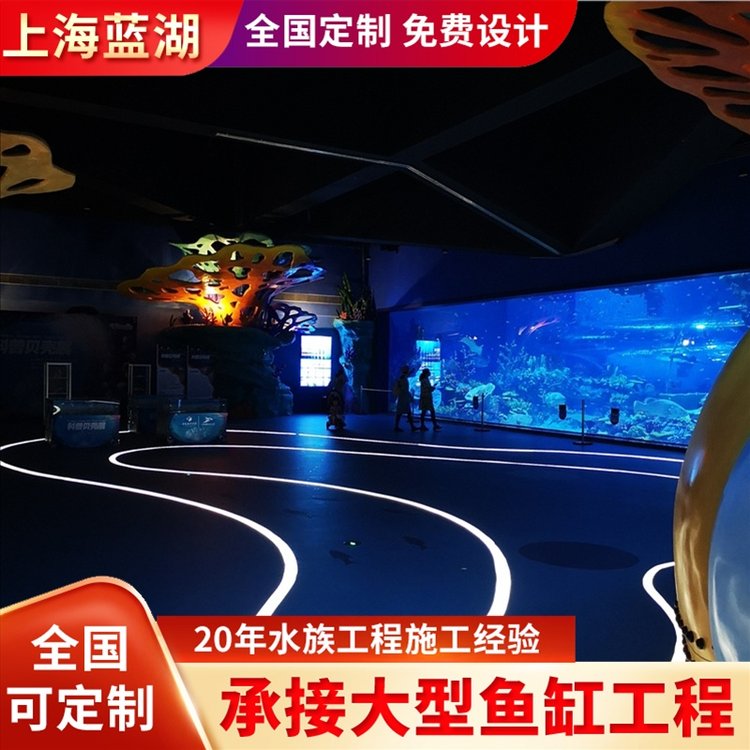 藍湖水族工程施工專業(yè)水族館勘測設(shè)計修建造景維生系統(tǒng)建設(shè)