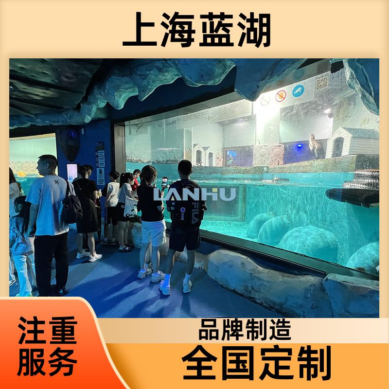 藍(lán)湖承接水族館建造別墅嵌入式魚(yú)缸專業(yè)生產(chǎn)廠家造景工程定做