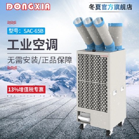 冬夏SAC-65B可移動(dòng)式工業(yè)冷氣機(jī)工廠車間降溫產(chǎn)品設(shè)備降溫冷風(fēng)機(jī)