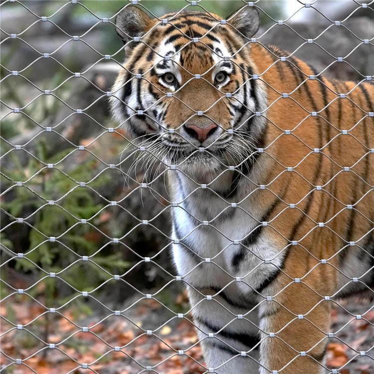 304316不銹鋼卡扣鋼絲繩網(wǎng)動(dòng)物園圍網(wǎng)高空防墜安全網(wǎng)籠舍防護(hù)網(wǎng)