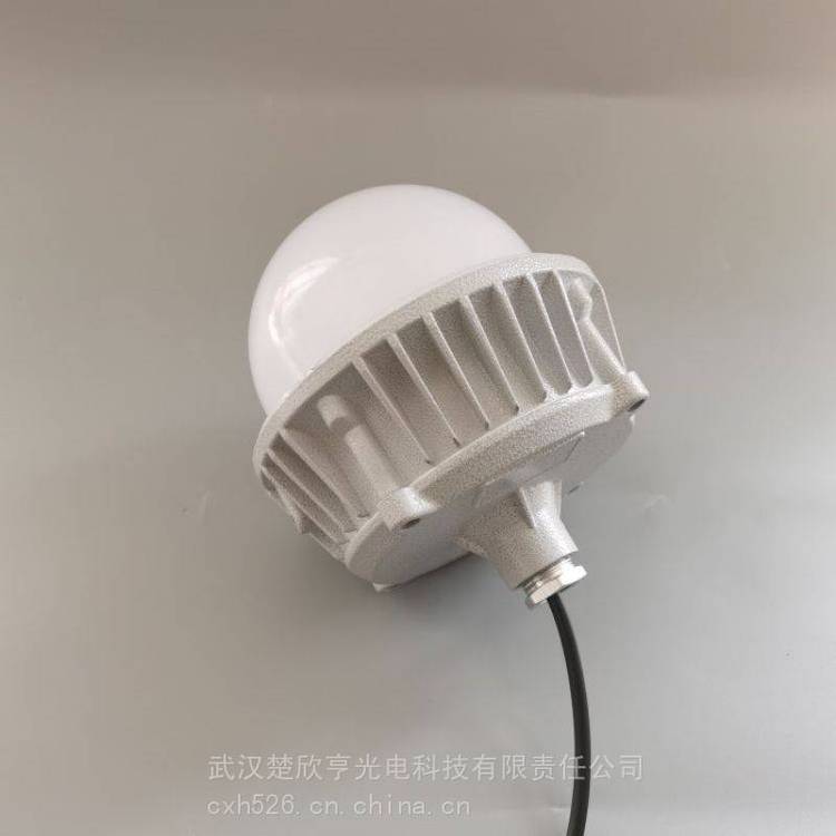 防爆壁式LED燈尚為220V70W壁式安裝15°，活接頭及帶安裝附件