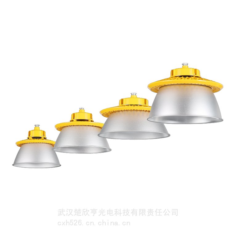 LED塔吊防爆燈1000W380V路橋工程投光燈220V400W塔吊燈