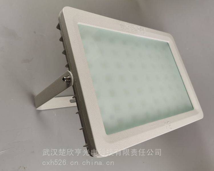 LED投光燈FZ150W200W工廠三防泛光燈高爐防護型投射燈