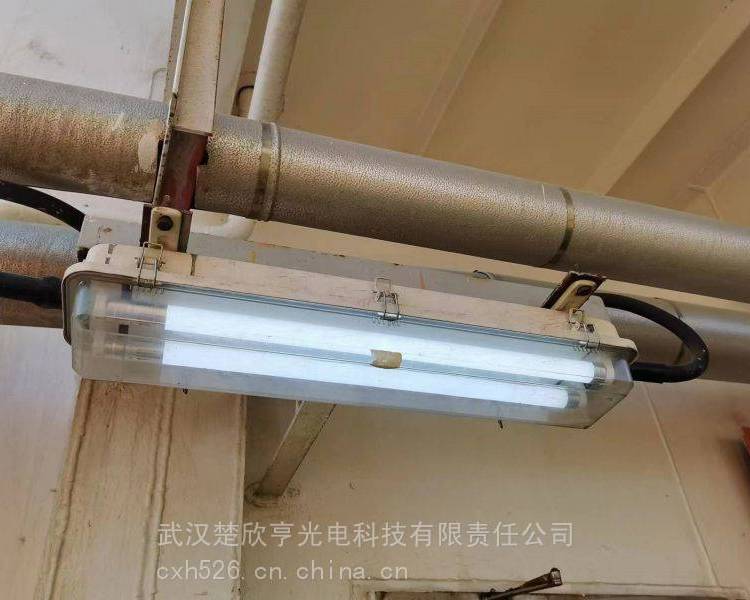 LED三防熒光燈FPY-LED2×18h護(hù)欄式彎桿燈全塑防水防塵防腐