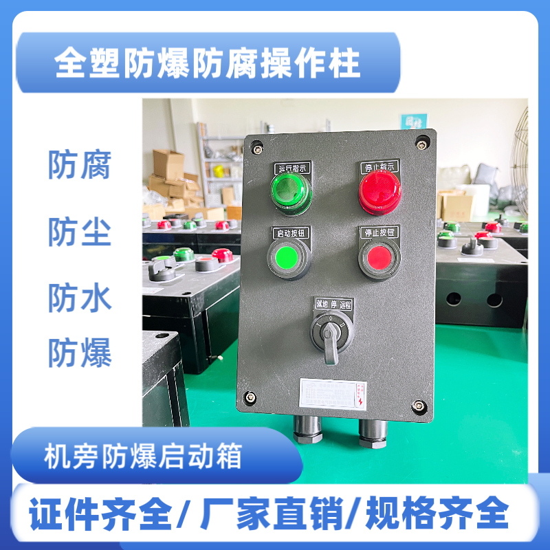 BZC8060-A2D2K1L戶外現(xiàn)場立式防爆防腐操作柱出料泵用防水控制箱