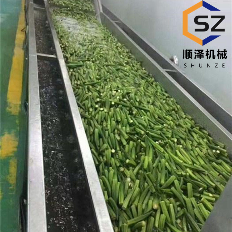 山野菜氣泡清洗機(jī)高壓噴淋竹筍清洗設(shè)備葉類蔬菜清洗流水線