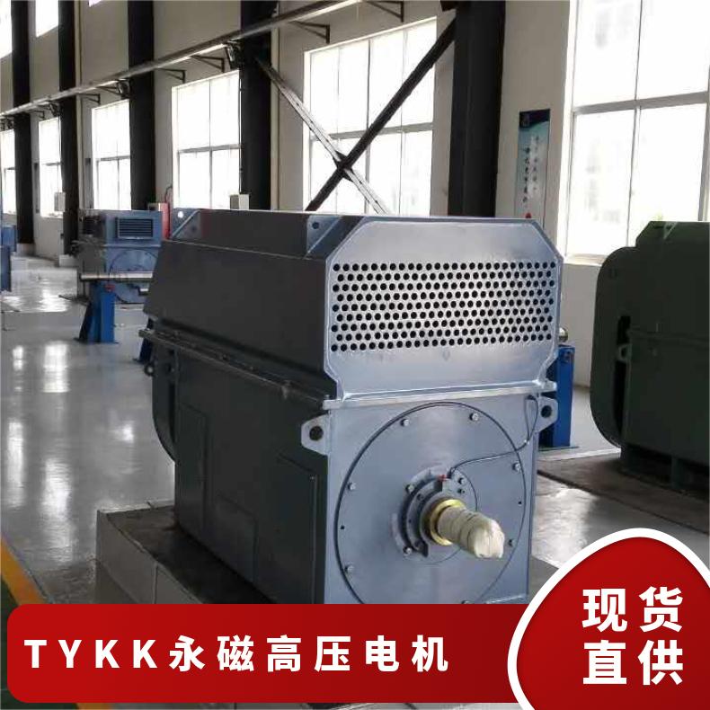 鴻泰永磁高壓電機(jī)TYKK800-4-5600千瓦4極噪音小振動(dòng)低節(jié)能環(huán)保