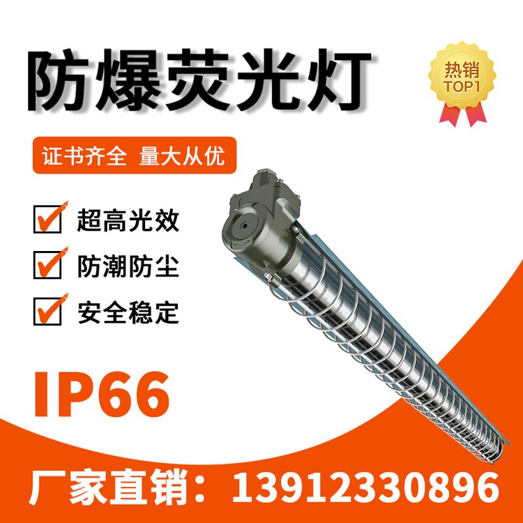 GCD51防爆單管燈220V50\/60Hzip65發(fā)光角度360定制