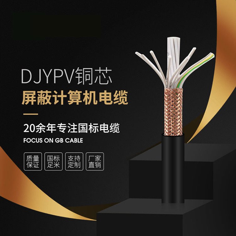 DJYPV屏蔽計算機電纜國標安全定制電纜質(zhì)量保證