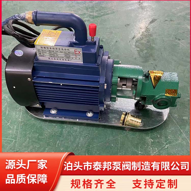 WCB-100手提泵便攜式電動(dòng)泵潤(rùn)滑油泵貨源充足工業(yè)泵總廠