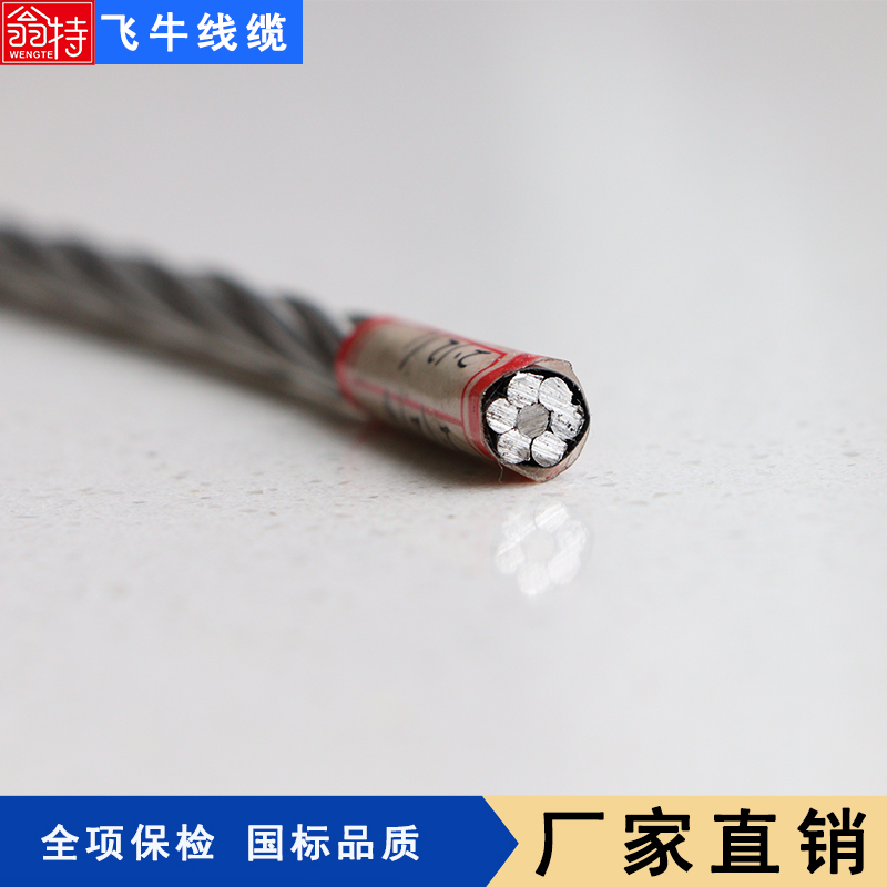 飛牛線纜鋼芯鋁絞線JL\/G1A-25\/4裸導線現(xiàn)貨工廠銷售抗拉強度高