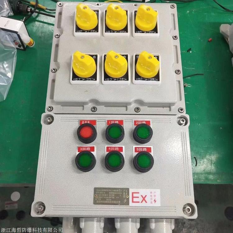 AL防爆照明配電箱BXM59-6KXX防爆動(dòng)力配電箱