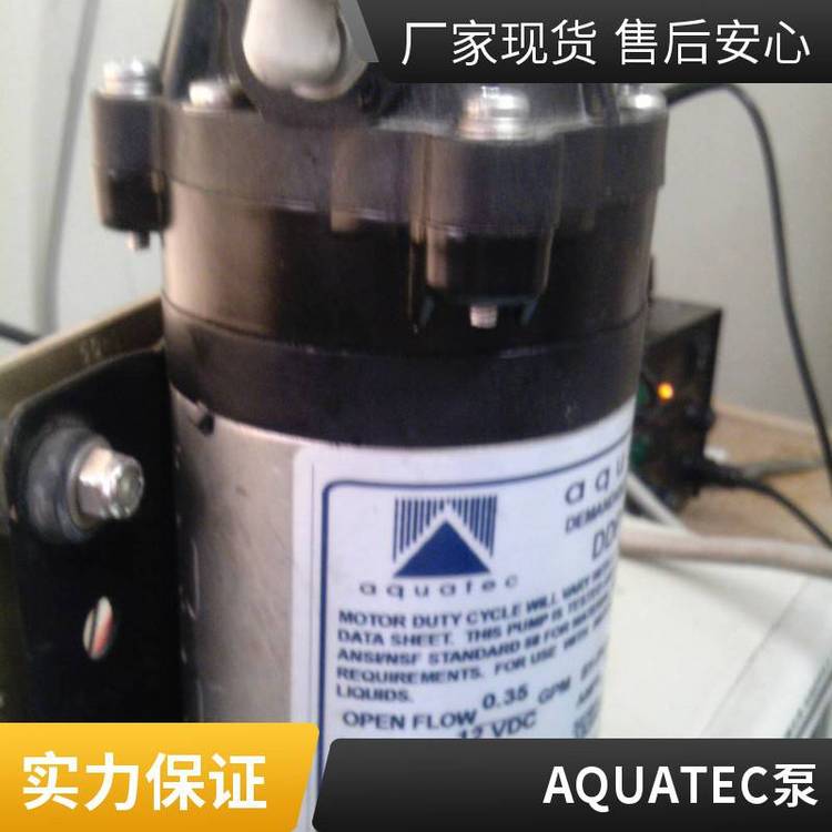 AQUATECDDP5800水泵小型隔膜泵5853-2J12-V664