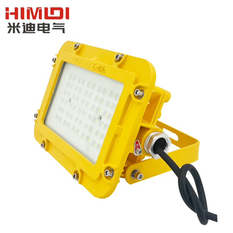 免維護(hù)LED防爆吸頂燈人體感應(yīng)燈20W\/30W\/40W\/50W