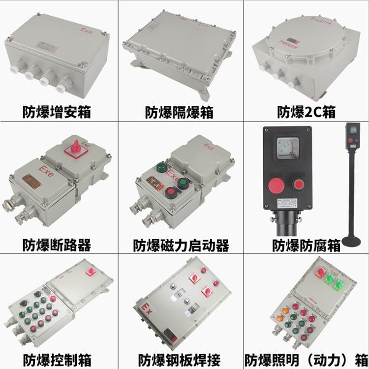 增安型防爆接線箱隆業(yè)電氣隔爆型配電箱廠家現(xiàn)貨供應(yīng)