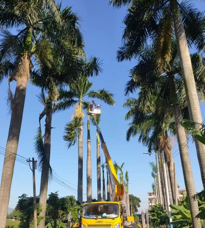 祥特高空作業(yè)車出租升降車曲臂式吊車起重機(jī)