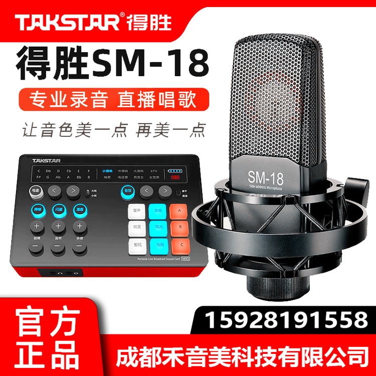 得勝TakstarSM-18專業(yè)錄音棚電容麥克風(fēng)電腦直播K歌專用話筒