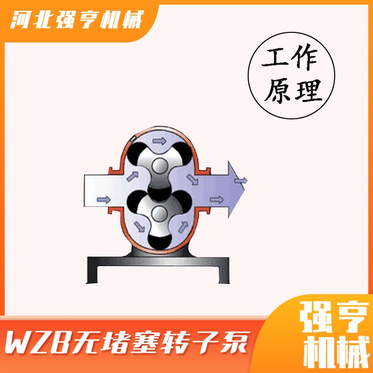 無(wú)堵塞包膠轉(zhuǎn)子泵自吸污泥污水糞便排污泵大流量輸送泵