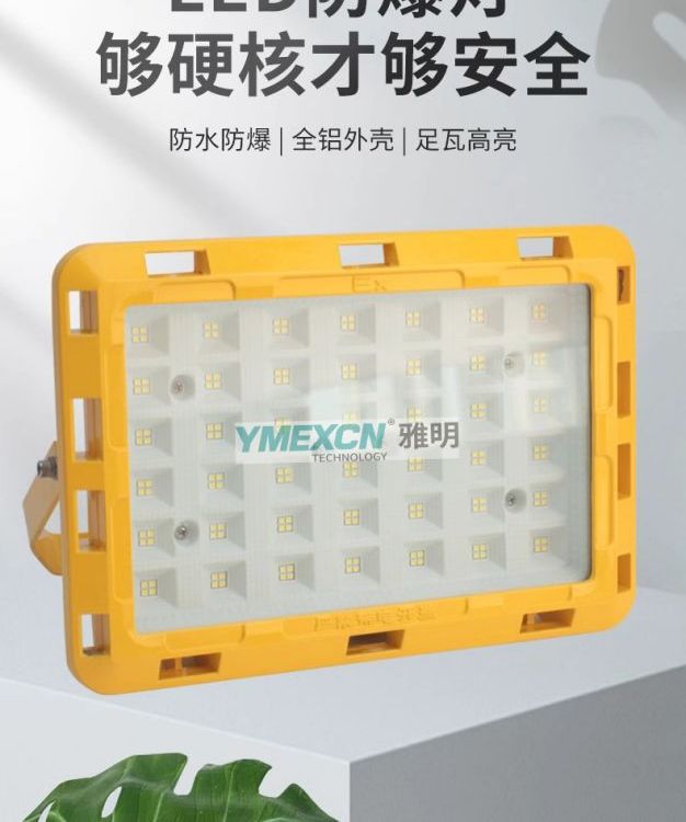 LED防爆燈化工廠(chǎng)房車(chē)間100W150W倉(cāng)庫(kù)加油站200W300W投光泛光燈