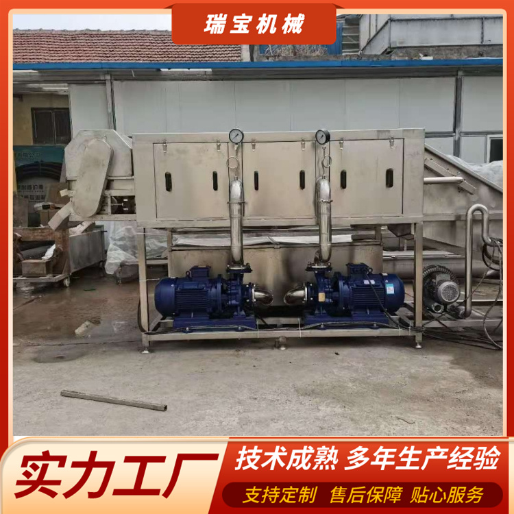 瑞寶高壓噴淋式大型果蔬加工廠用大姜小黃姜清洗機RB-5000型