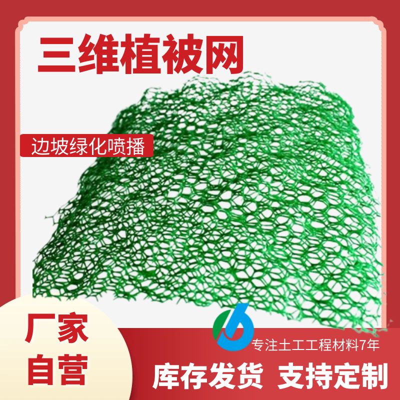 邊坡綠化植物網(wǎng)墊植草護(hù)坡土工網(wǎng)博創(chuàng)噴播草籽EM3三維植被網(wǎng)