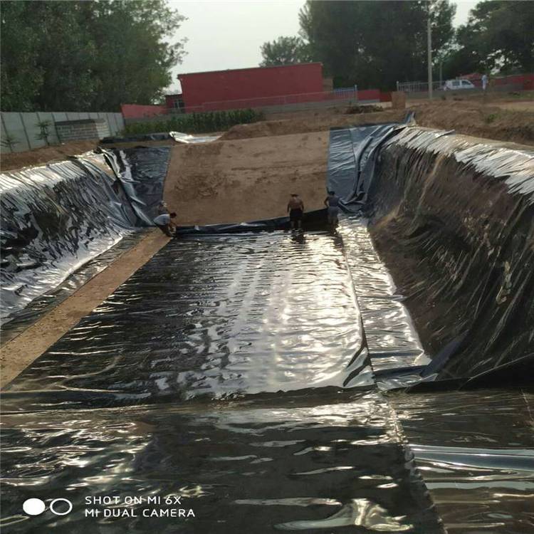 貴州魚塘防水膜廠家池塘土工膜養(yǎng)殖泥鰍道路用防滲2布1膜價格