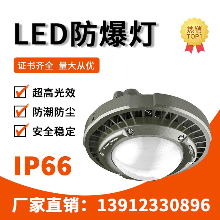 GCD98LED短玻璃防爆燈工廠(chǎng)燈80-150WLEDIP66