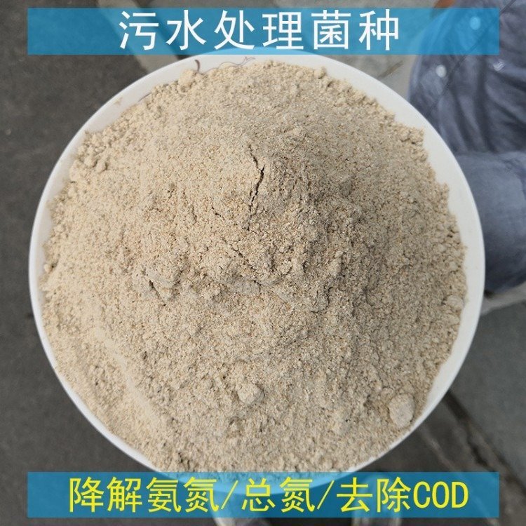 污水處理菌種氨氮降解菌種cod去除劑量小效果好甘度