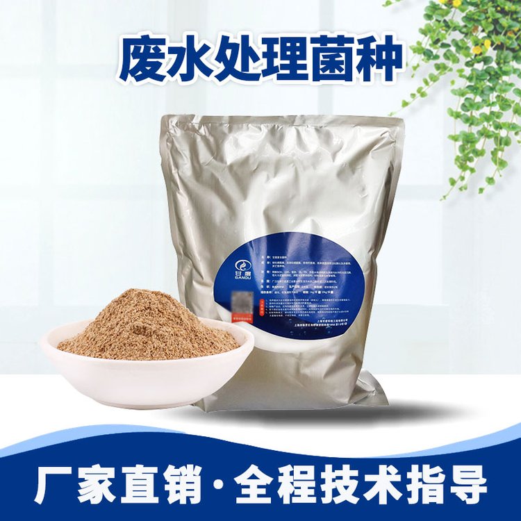 物菌劑氨氮超標(biāo)處理菌甘度硝化菌劑廢水治理常用菌歡迎采購