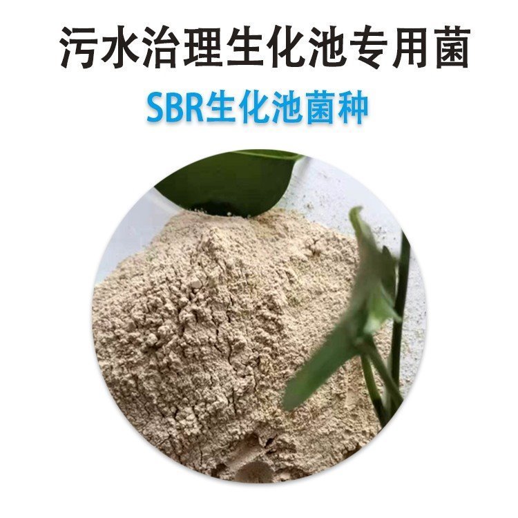 甘度廢水處理菌種-生化池生物菌劑快速降解總氮無(wú)二次污染