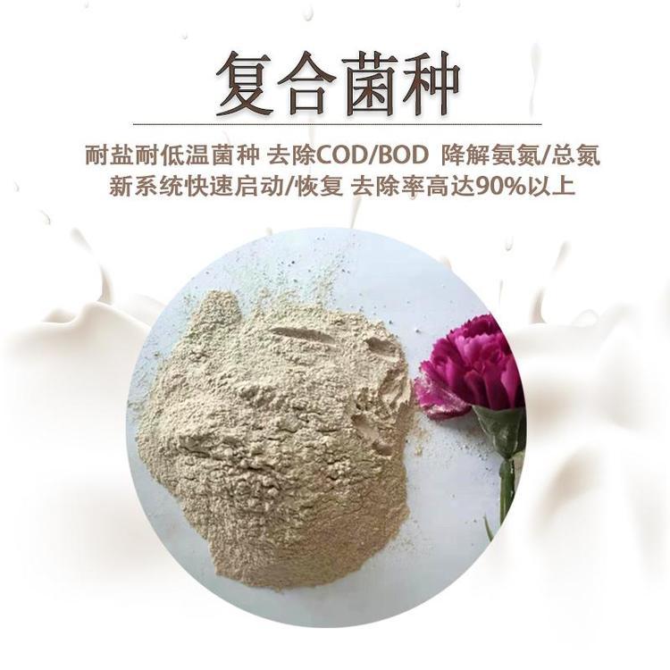 甘度氨氮去除劑微生物菌種食品廢水處理好氧池適應(yīng)性強(qiáng)