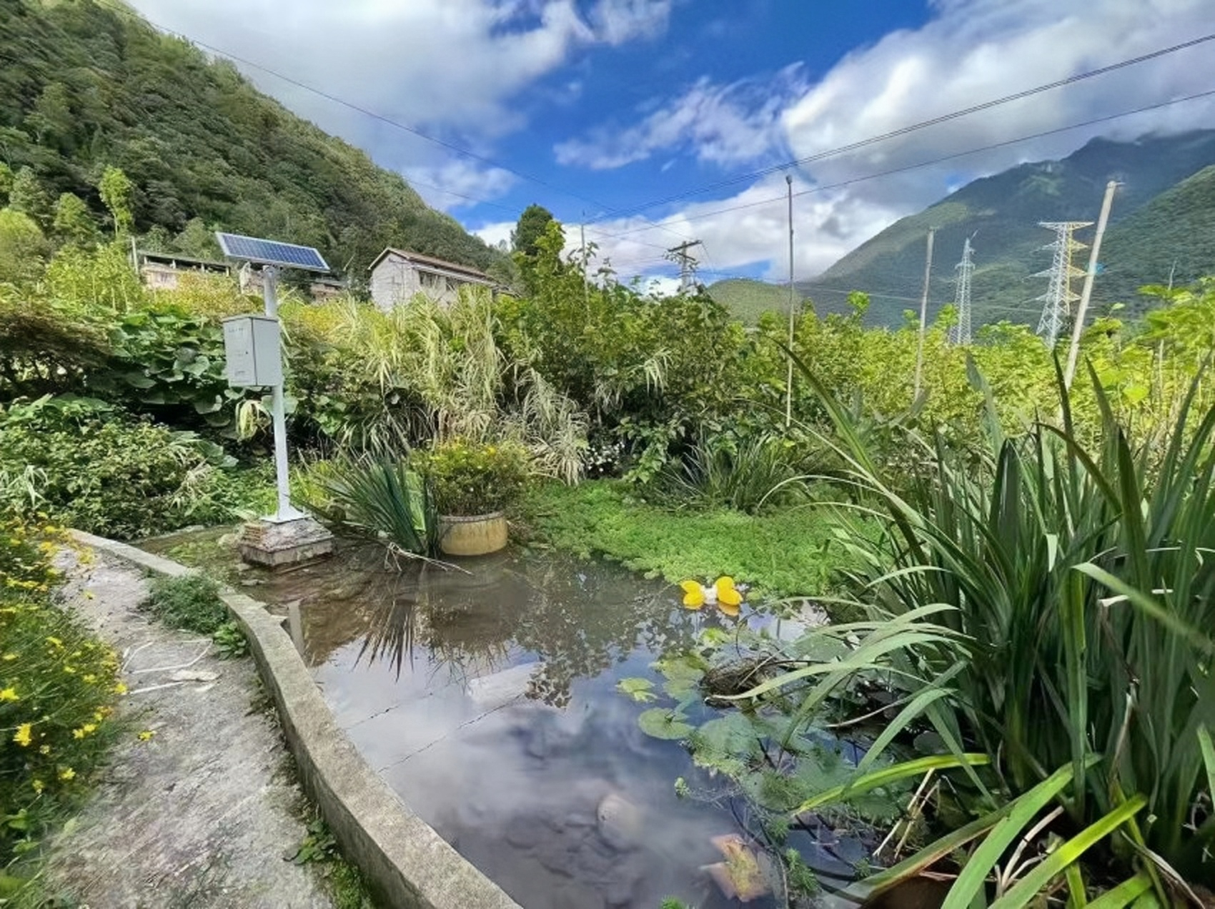 河道水庫水質(zhì)自動(dòng)遠(yuǎn)程水文在線監(jiān)測系統(tǒng)岸邊式水質(zhì)監(jiān)測站