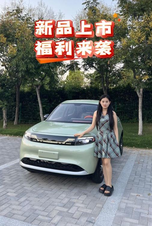 簡(jiǎn)單好學(xué)的四輪車帶空調(diào)不用駕照的封閉車女性電瓶車