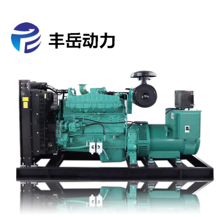 豐岳動(dòng)力康明斯系列柴油發(fā)電機(jī)組自動(dòng)化四保護(hù)低噪音