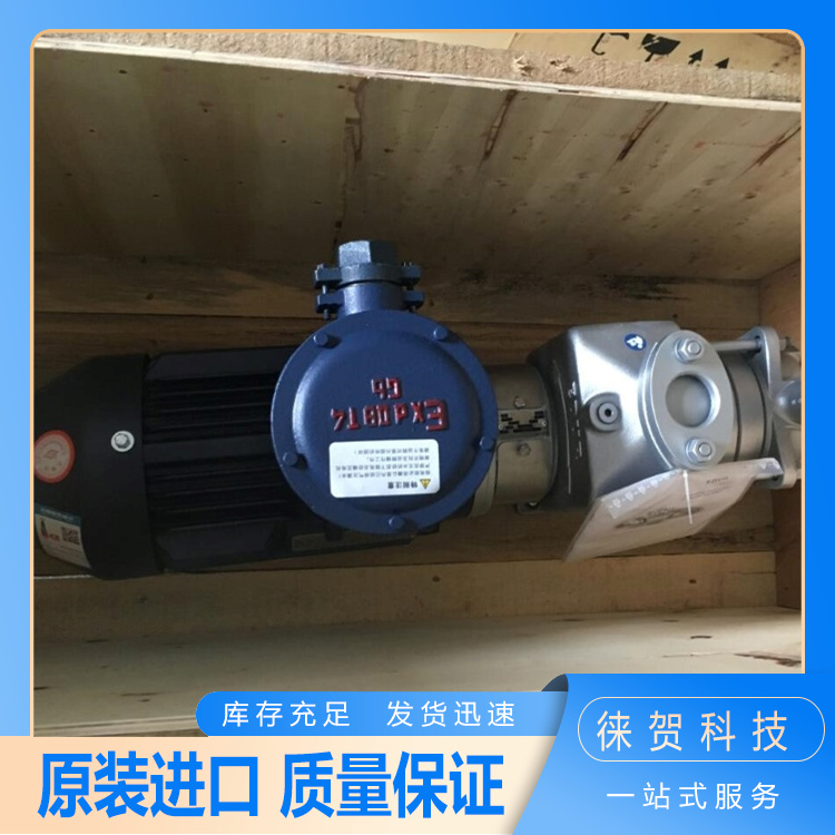 Edur溶氣泵LBU403C120L多級氣液混合泵發(fā)貨快