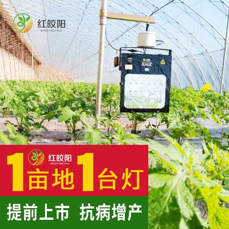 【西紅柿茄子專用燈】大棚生長燈紅皎陽激光補光燈溫室飽光燈智能