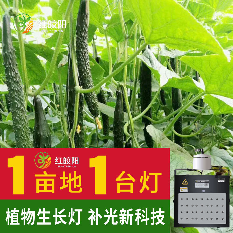 【黃瓜增產(chǎn)燈】大棚植物專用激光補光燈紅皎陽蔬菜甜瓜生長燈飽光燈