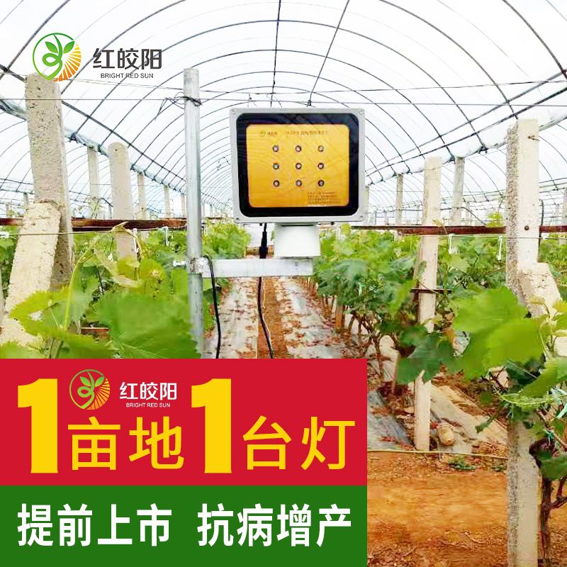 【葡萄專用飽光燈】大棚植物生長燈紅皎陽葡萄補(bǔ)光燈智能定時(shí)補(bǔ)光