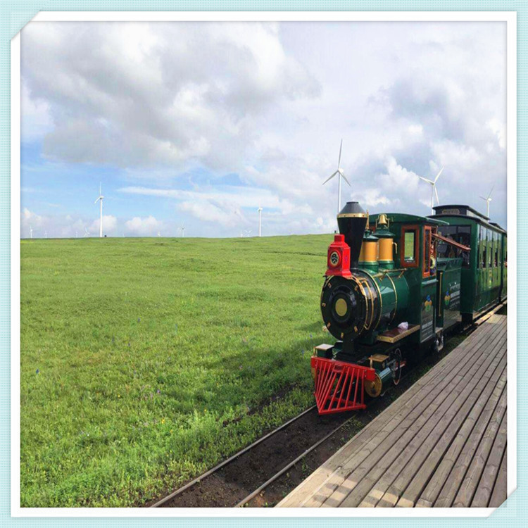 大型旅游景區(qū)觀光電瓶軌道火車(chē)款式多樣金耀游樂(lè)設(shè)備