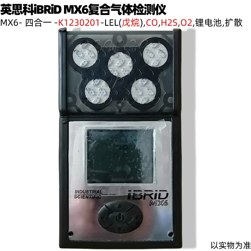 英思科iBRiDMX6K1230201擴(kuò)散戊烷氧氣硫化氫一氧化碳?xì)怏w檢測儀