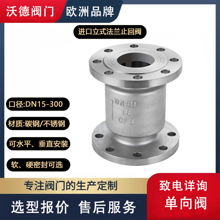 進口立式止回閥消聲靜音單向閥空氣氫氣用零泄漏德國沃德WODE