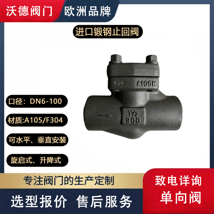 進(jìn)口鍛鋼止回閥A105單向閥高壓型零泄漏F304材質(zhì)德國沃德WODE