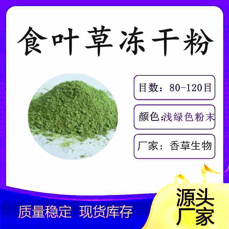 食葉草凍干粉200目新資源食品凍干食葉草粉提取物廠(chǎng)家