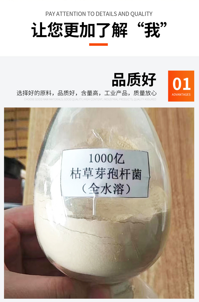 枯草芽孢桿菌微生物菌種水產養(yǎng)殖農用益生菌1000億