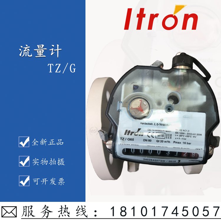 ITRON德國(guó)產(chǎn)原裝埃創(chuàng)TZ\/G100DN80氣體渦輪流量計(jì)