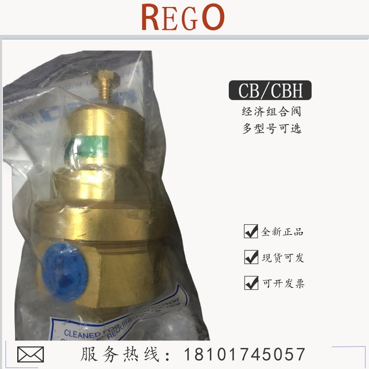 REGO美國CBC000325經(jīng)濟增壓閥CBC000300杜瓦瓶調(diào)節(jié)閥CBH000325