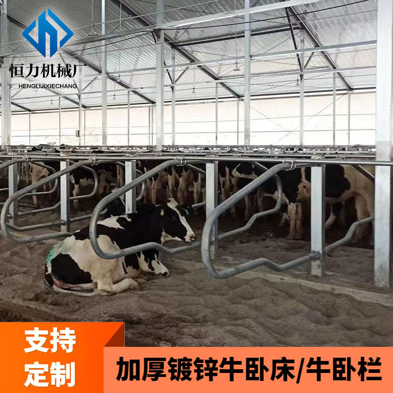 奶牛場熱鍍鋅雙面牛臥床尺寸恒力堅固耐用牛臥欄生產(chǎn)廠家養(yǎng)牛設(shè)備