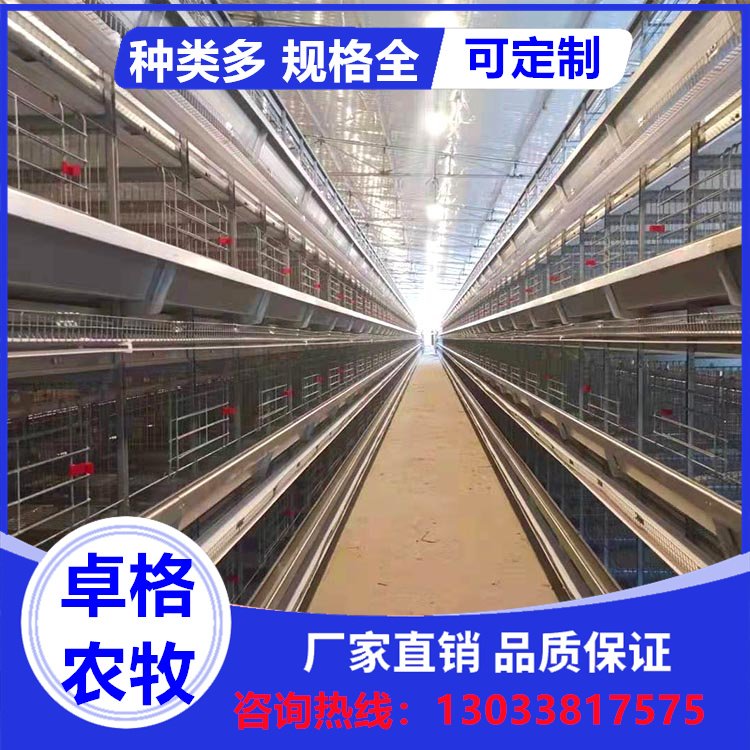 卓格蛋雞雞籠自動化養(yǎng)雞設備全套層疊大型養(yǎng)殖場規(guī)劃設計